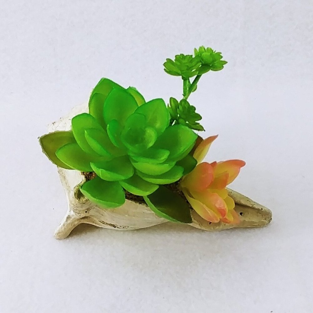 Seashell Succulent Waterproof Botanical Arrangement Beach Lake Cabin Decor 5"